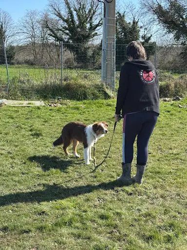 Ecole Canine du Langonnais