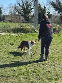 Ecole Canine du Langonnais