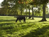 Haras de l'Etre
