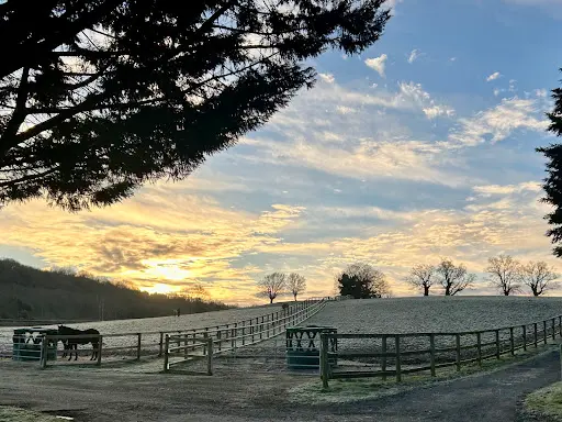 Haras des Sylves