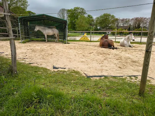 Haras de l'Ile