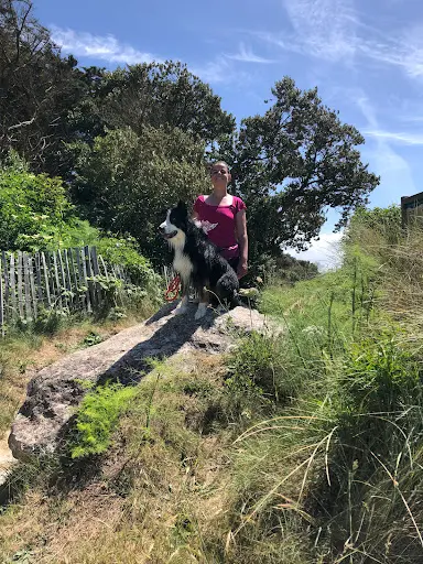 Le Bon C Hien Educateur Canin et Comportementaliste