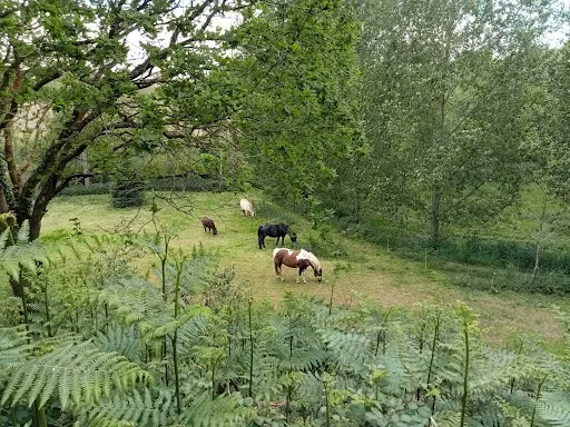 Les Sabots de l'Horn