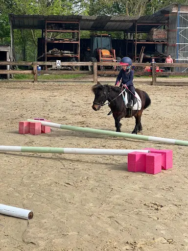 Poney Club de Julie