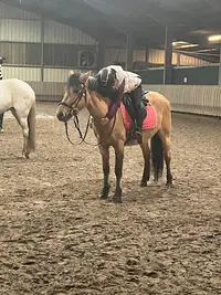 Haras du Val