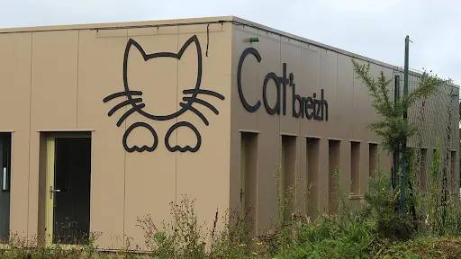 Cat Breizh