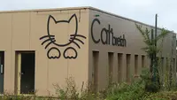 Cat Breizh