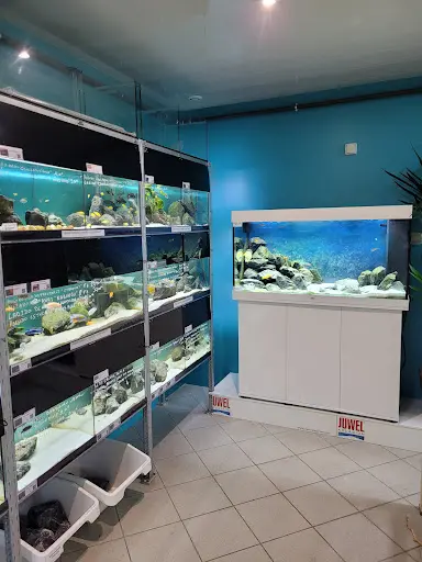 Aquatic Forest
