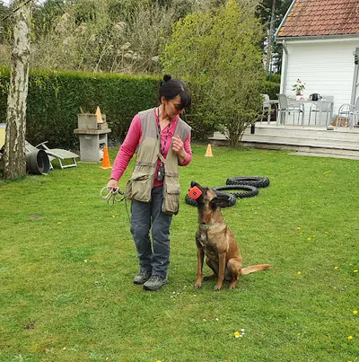Etholologie Dog
