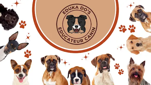 Eduka Dog S - Educateur Canin