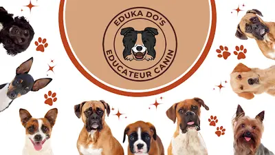 Eduka Dog S - Educateur Canin