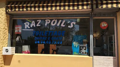 Raz Poil’s