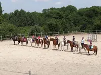 Ecurie des Crêtes Jc Équitation