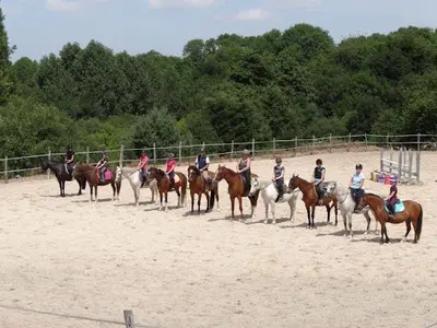 Ecurie des Crêtes Jc Équitation