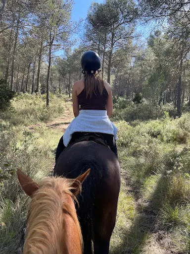 Chev Alpilles (promenade À Cheval À Saint-rémy de Provence)