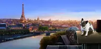 Élevage Bouledogue Français
