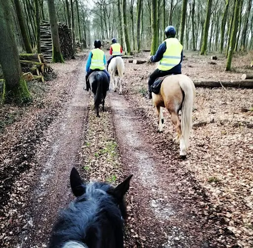 Les Ecuries d'Opale