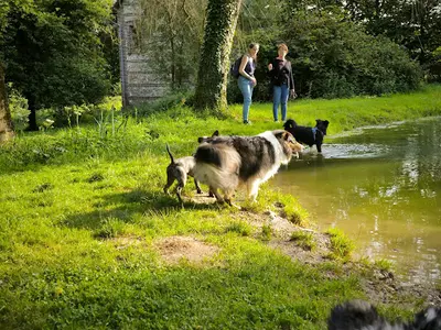 La Clé du Chien, Éducateur Comportementaliste Canin