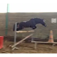 Poney-club de Passieu