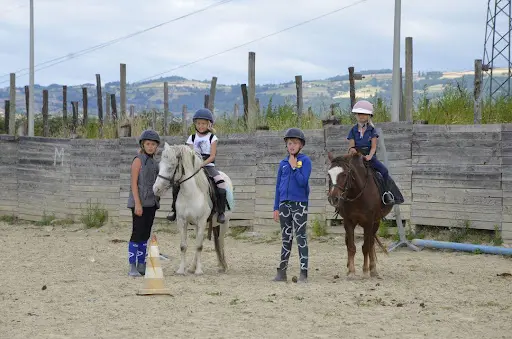 Centre Equestre les Crins des Plaines