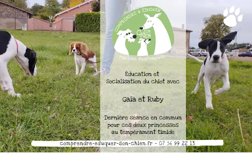 Éducateur Comportementaliste Canin Marlène Monteagudo