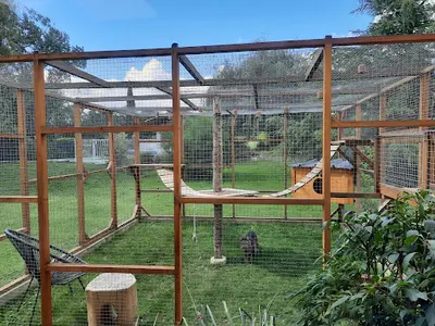 Chats du Pic - Pension Pour Chats