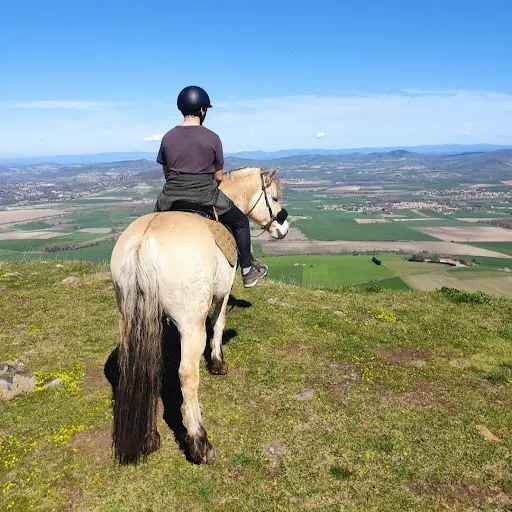 Espace Equestre de Lapiota - Balade À Cheval, Promenade en Main, Randonnée et Médiation Animale