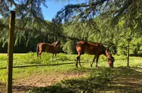 Les Écuries de L’emeraude