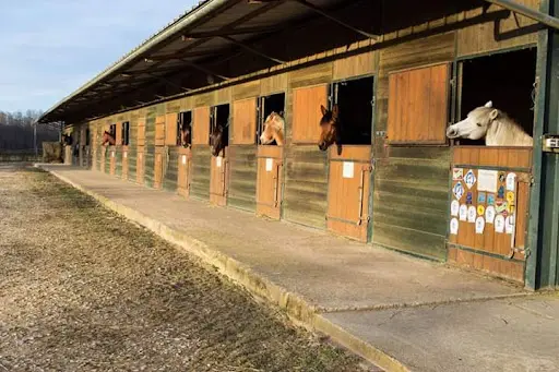 Gaudry Equitation