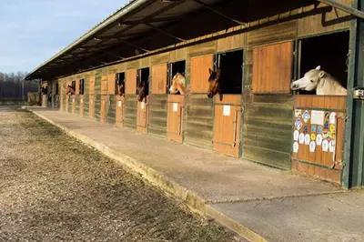 Gaudry Equitation