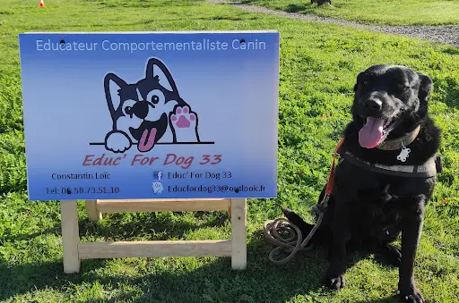 Educ For Dog 33 Éducateur Canin Comportementaliste