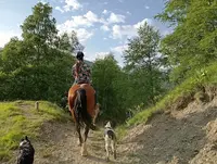 Les Crins Sauvages Centre Equestre