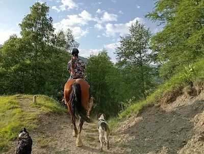 Les Crins Sauvages Centre Equestre