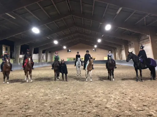 Haras du Sauvoy - Ecurie de Propriétaires
