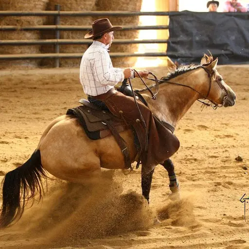 Holy Day Ranch