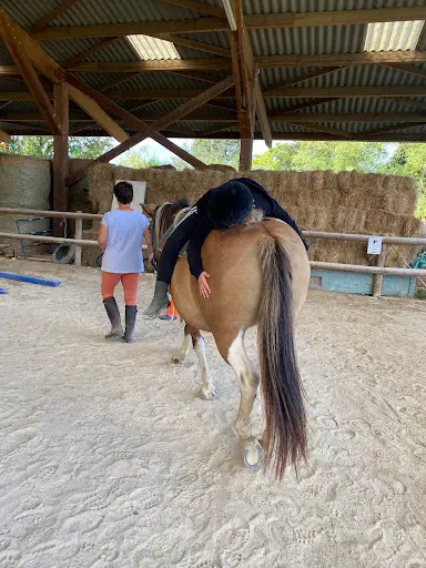 Equi Libre