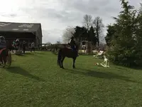 Haras du Cèdre