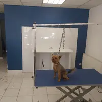 Au Bonheur des Chiens