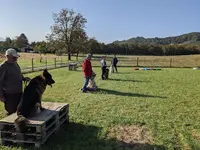 Canis Educo - Éducatrice Canine