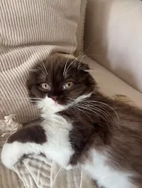 Chatterie d'Ysorian