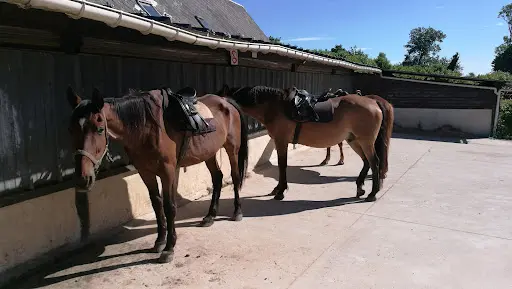 Gîte les Chevaux de Saint Victor et Centre Équestre
