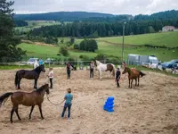 Équitation en Lien