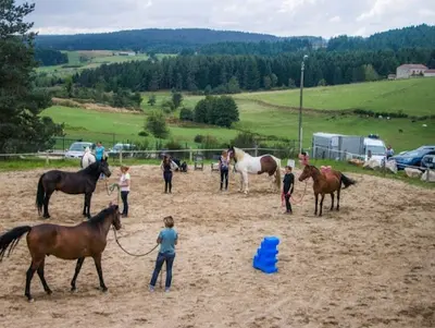 Équitation en Lien