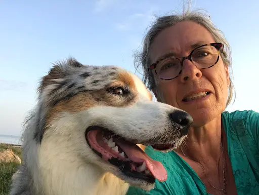 Alfahelia - Aliette - Educatrice Canine - Comportementaliste Canin et Félin