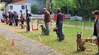 C.e.p.c. Centre d'Éducation Canine