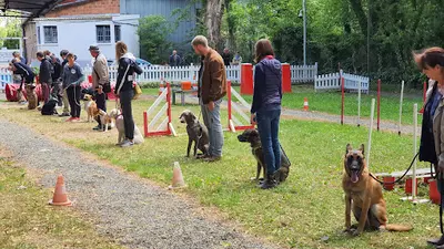 C.e.p.c. Centre d'Éducation Canine