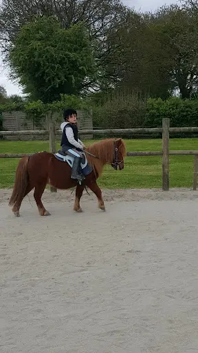 Gîtes Dans Ferme Equestre