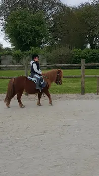 Gîtes Dans Ferme Equestre