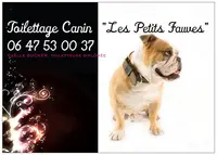 Les Petits Fauves