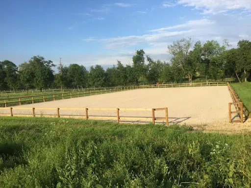 Les Écuries de l'Estey-fleuri | Écurie de Propriétaires Cso Bordeaux